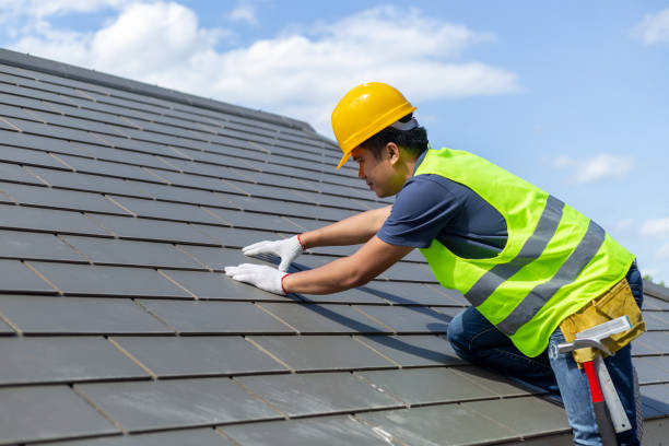 Best Roof Moss and Algae Removal  in Virginia, IL