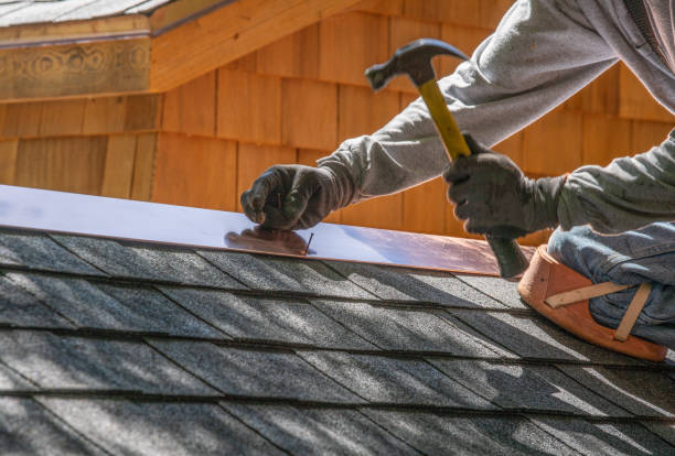 Best Metal Roofing Installation  in Virginia, IL