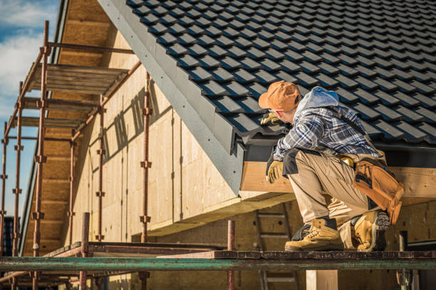 Best Gutter Replacement  in Virginia, IL