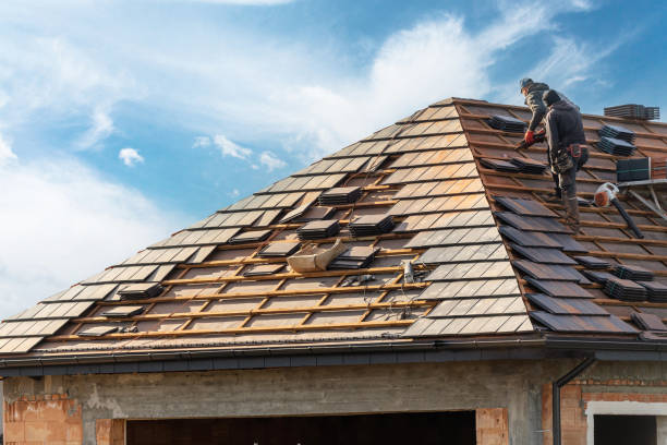 Best Rubber Roofing (EPDM, TPO)  in Virginia, IL