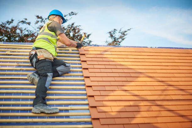 Gutter Replacement in Virginia, IL